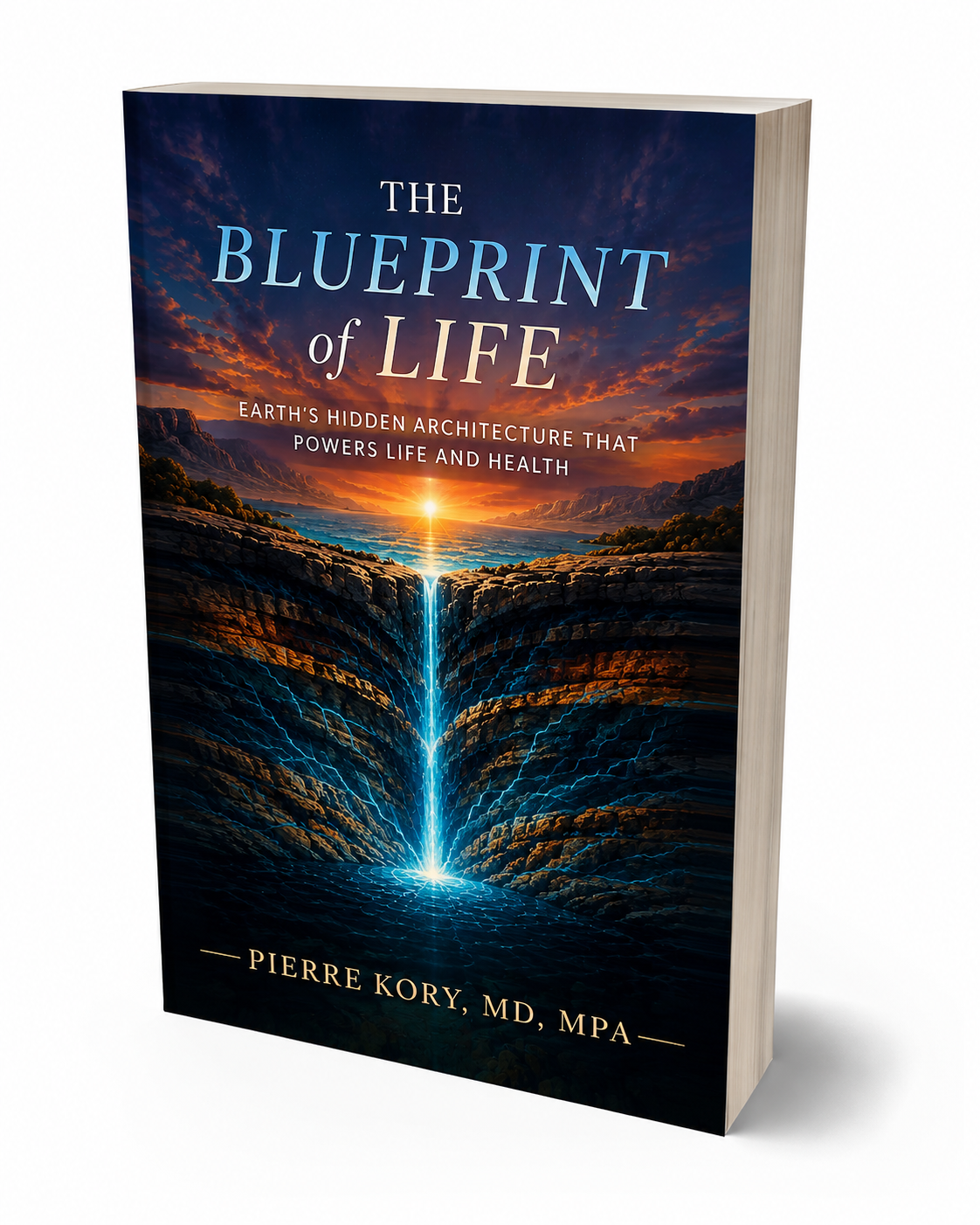 Paperback